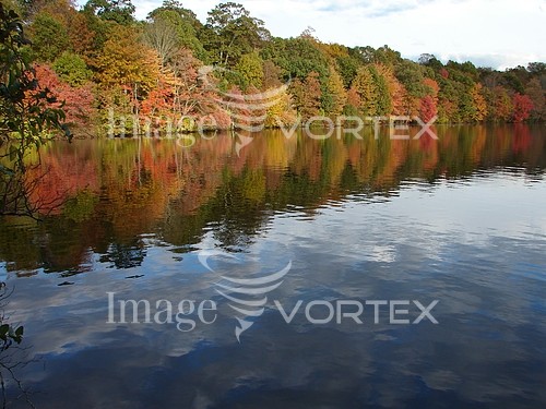 Nature / landscape royalty free stock image #253510910