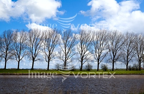 Park / outdoor royalty free stock image #255804098