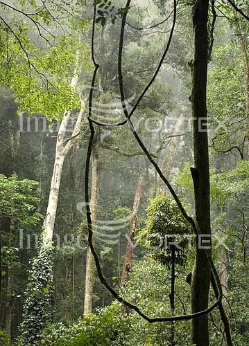 Nature / landscape royalty free stock image #256440022