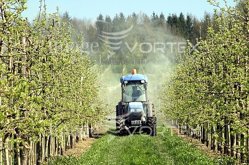 Industry / agriculture royalty free stock image #262403112
