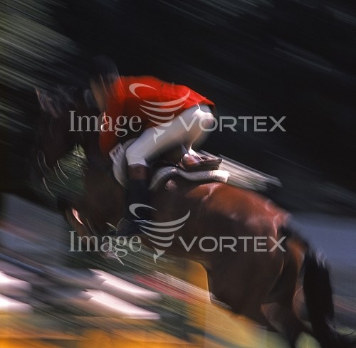 Sports / extreme sports royalty free stock image #264898119