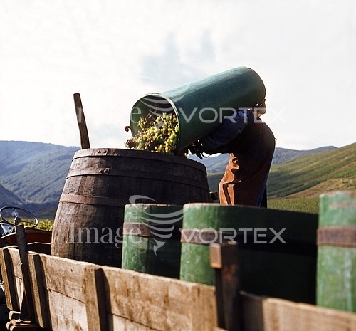 Industry / agriculture royalty free stock image #264774451