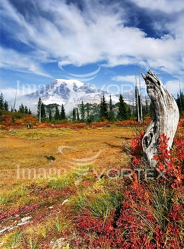 Nature / landscape royalty free stock image #265739214