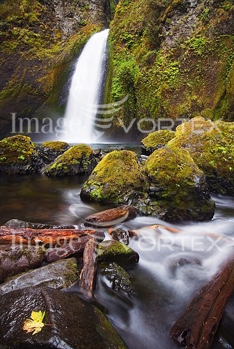 Nature / landscape royalty free stock image #265748764