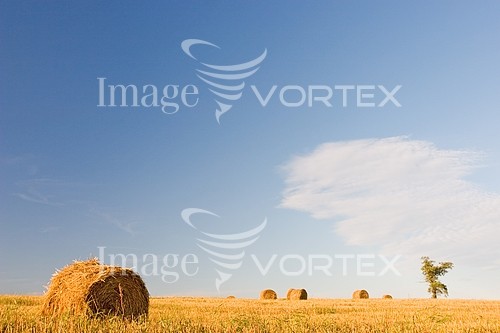 Industry / agriculture royalty free stock image #266642574