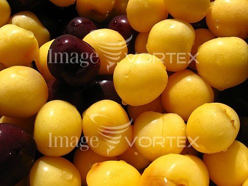 Food / drink royalty free stock image #267026032