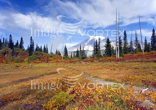 Nature / landscape royalty free stock image #267939165