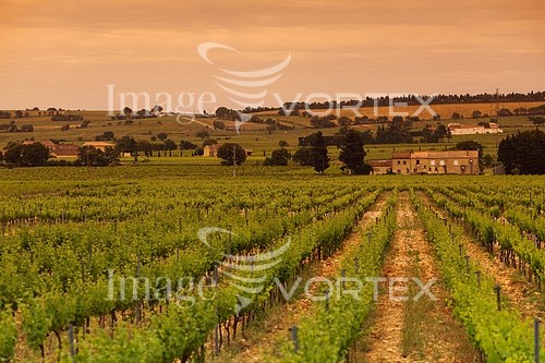 Industry / agriculture royalty free stock image #269801000