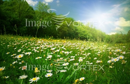 Nature / landscape royalty free stock image #270226587