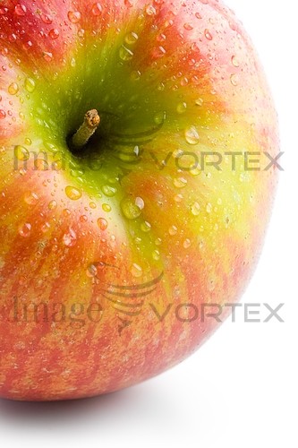 Food / drink royalty free stock image #272032310