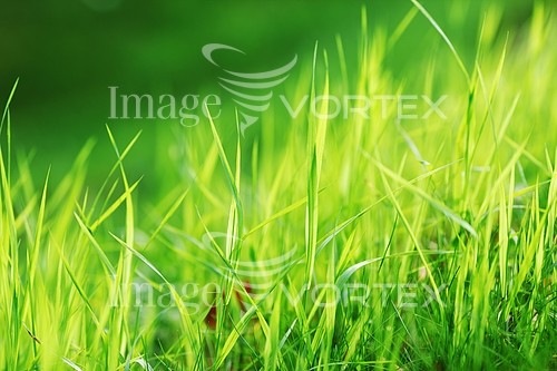 Nature / landscape royalty free stock image #273839999
