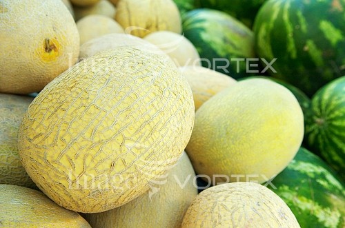 Food / drink royalty free stock image #274965674