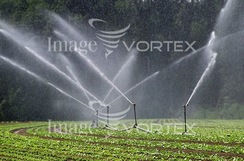 Industry / agriculture royalty free stock image #275874467