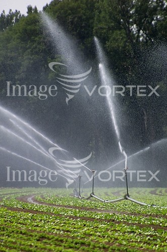 Industry / agriculture royalty free stock image #275949878