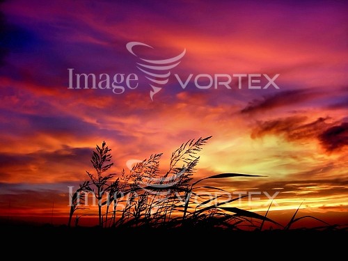 Sunset / sunrise royalty free stock image #275994191