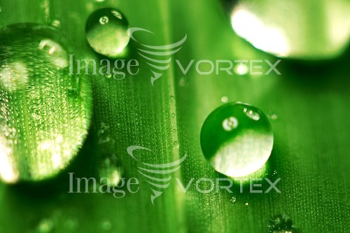 Background / texture royalty free stock image #275776156