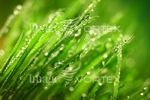 Background / texture royalty free stock image #275788259