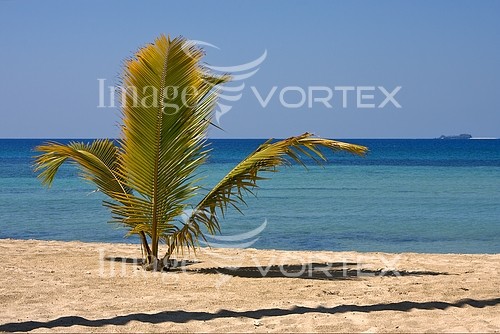 Travel royalty free stock image #276100604