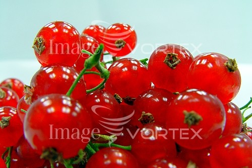 Food / drink royalty free stock image #278184070