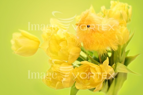 Celebration royalty free stock image #278534769