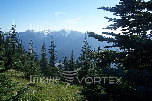 Nature / landscape royalty free stock image #278600879