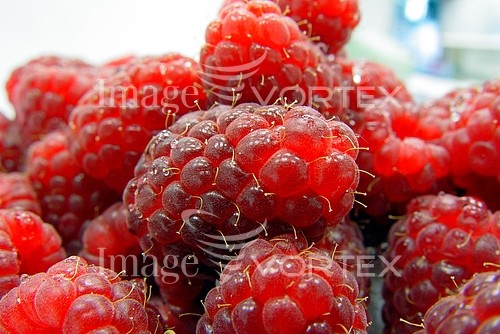 Food / drink royalty free stock image #278084070