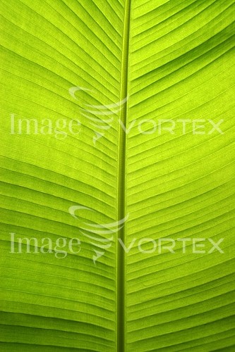 Nature / landscape royalty free stock image #283444329