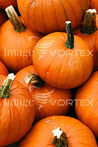 Food / drink royalty free stock image #285539716