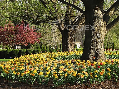 Park / outdoor royalty free stock image #289905847