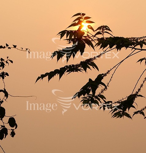 Sunset / sunrise royalty free stock image #289141153