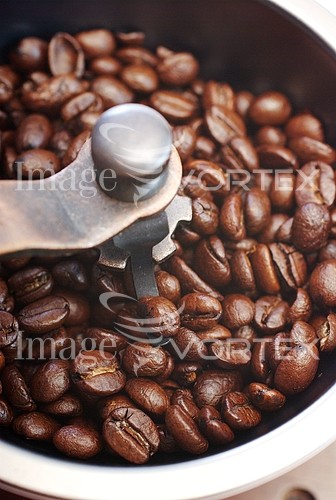 Food / drink royalty free stock image #290190672