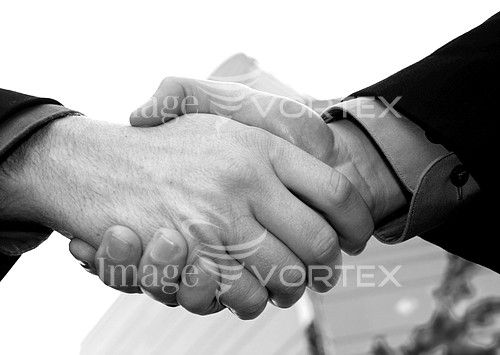 Business royalty free stock image #291443528
