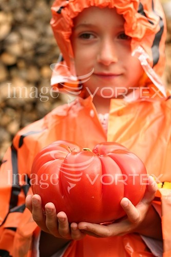 Industry / agriculture royalty free stock image #292914743