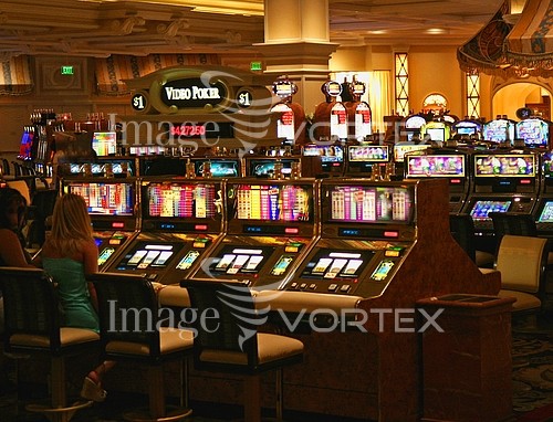 Casino / gambling royalty free stock image #293027629