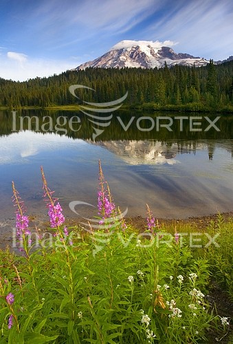 Nature / landscape royalty free stock image #294746787