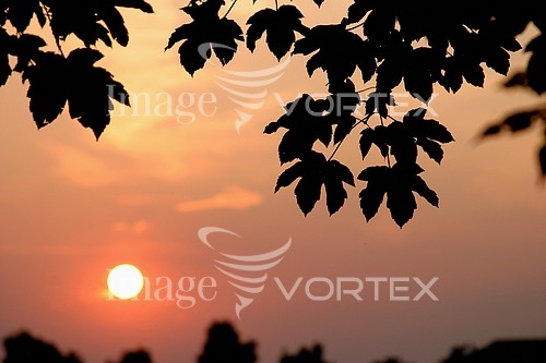 Sunset / sunrise royalty free stock image #294841754