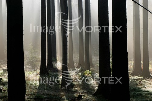 Nature / landscape royalty free stock image #295869253