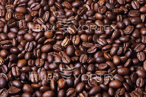 Food / drink royalty free stock image #296791982