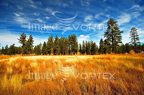 Nature / landscape royalty free stock image #298164673