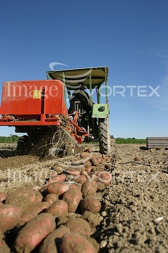 Industry / agriculture royalty free stock image #299308272