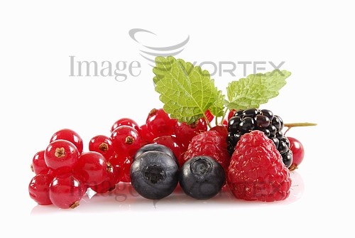 Food / drink royalty free stock image #301827107