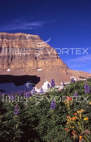 Nature / landscape royalty free stock image #309143817