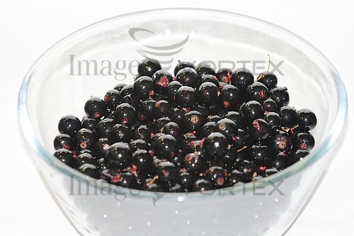 Food / drink royalty free stock image #310131044