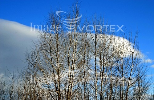 Nature / landscape royalty free stock image #315613837