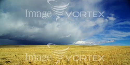 Industry / agriculture royalty free stock image #316186657