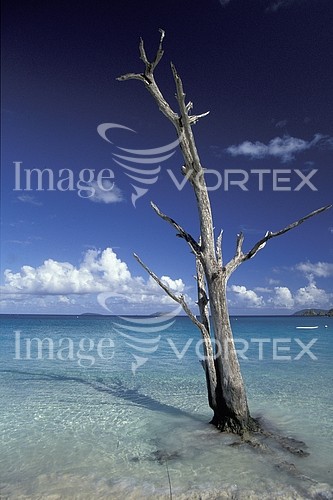 Nature / landscape royalty free stock image #318266024