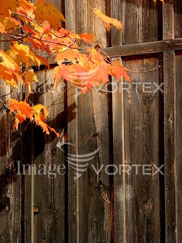 Background / texture royalty free stock image #320472733