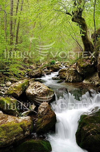 Nature / landscape royalty free stock image #321249448