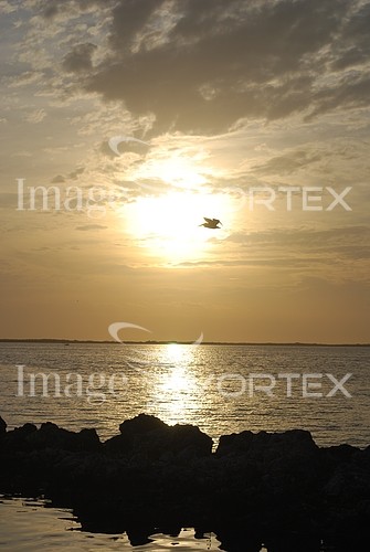 Sunset / sunrise royalty free stock image #321518241