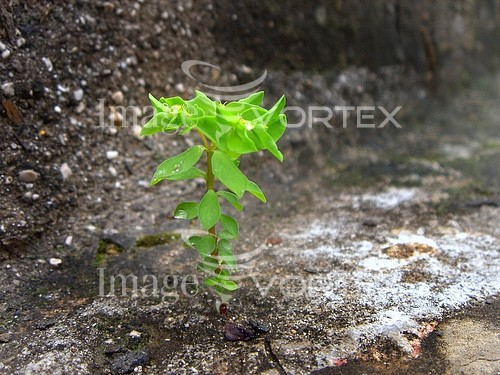 Industry / agriculture royalty free stock image #324563628